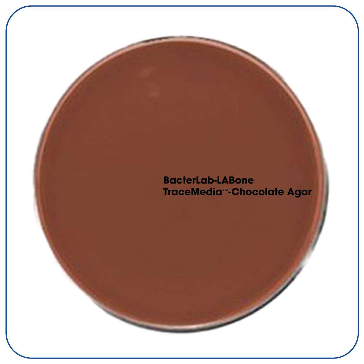 TraceMedia™ Chocolate Agar Bacterlab