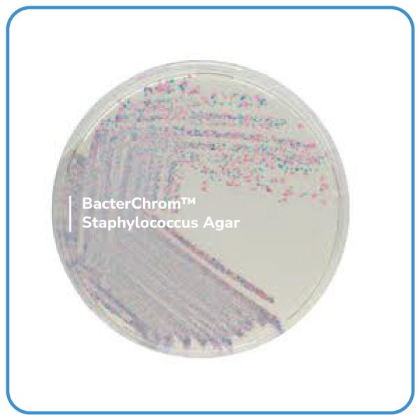 BacterChrom™ Staphylococcus Agar Plates - Bacterlab