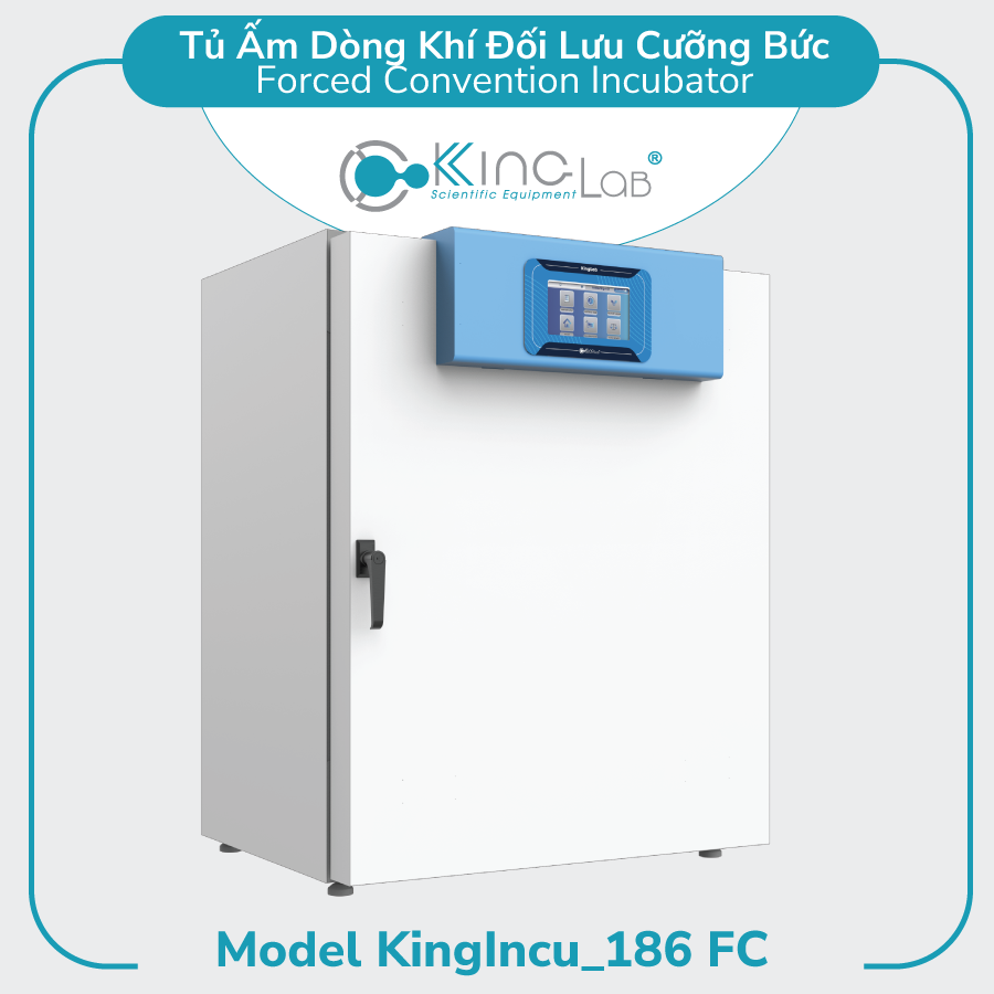Model-KingIncu_186-FC